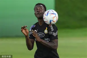 爱游戏APP下载-知了为什么晚上在叫